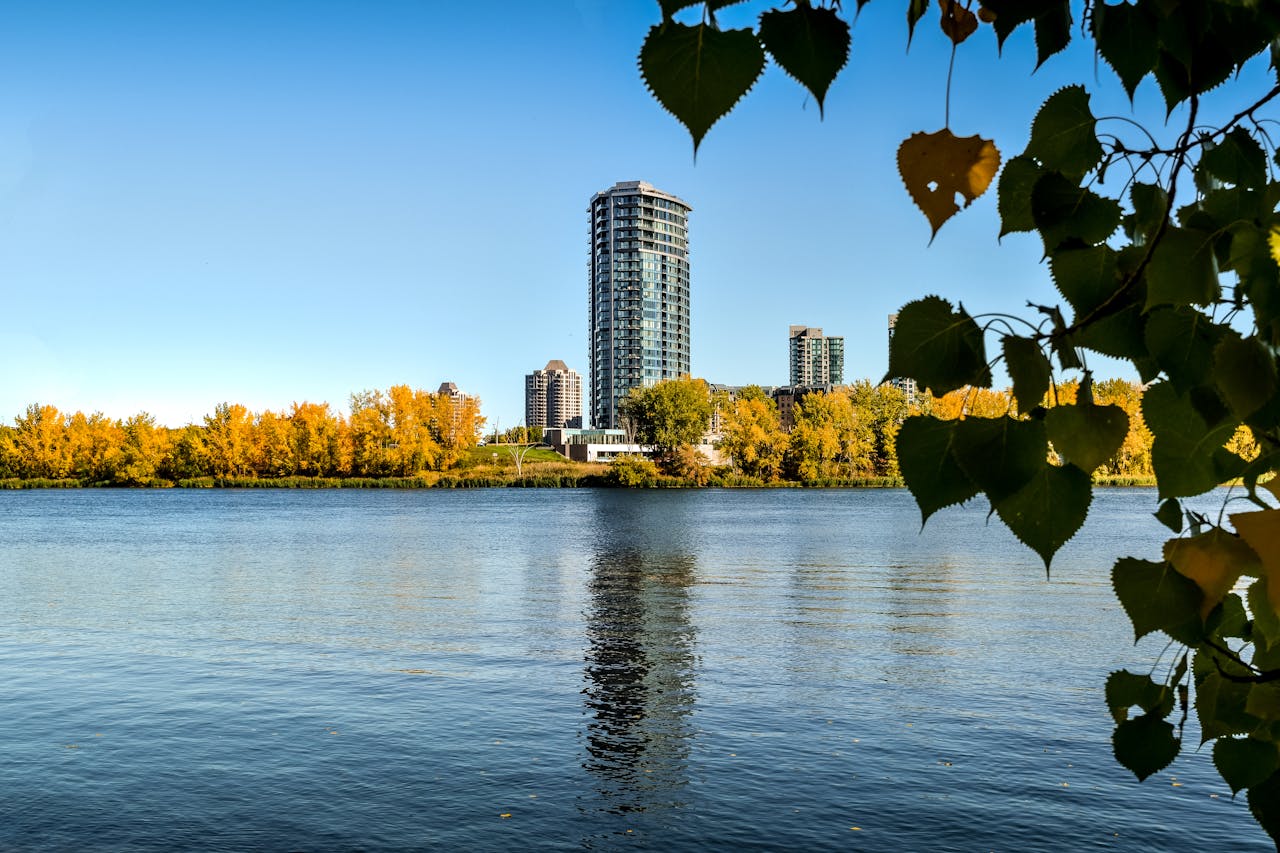 High-rise Building Near Trees